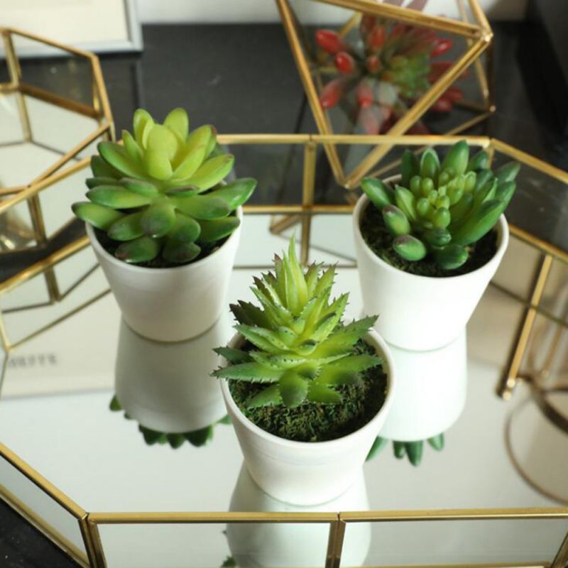 Kunstmatige vetplanten voor binnen, levendige groene planten, kleine potcactussen voor kantoor, thuis, tuin, za
