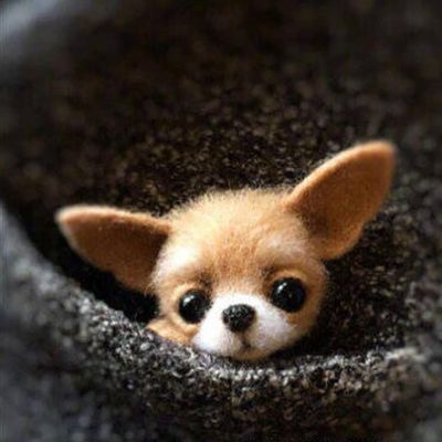 Diy Dieren Broche Vos Hond Kat Wol Naaldvilten Materiaal Pakket Wolvilt Craft Poke Set Handwerk: 11