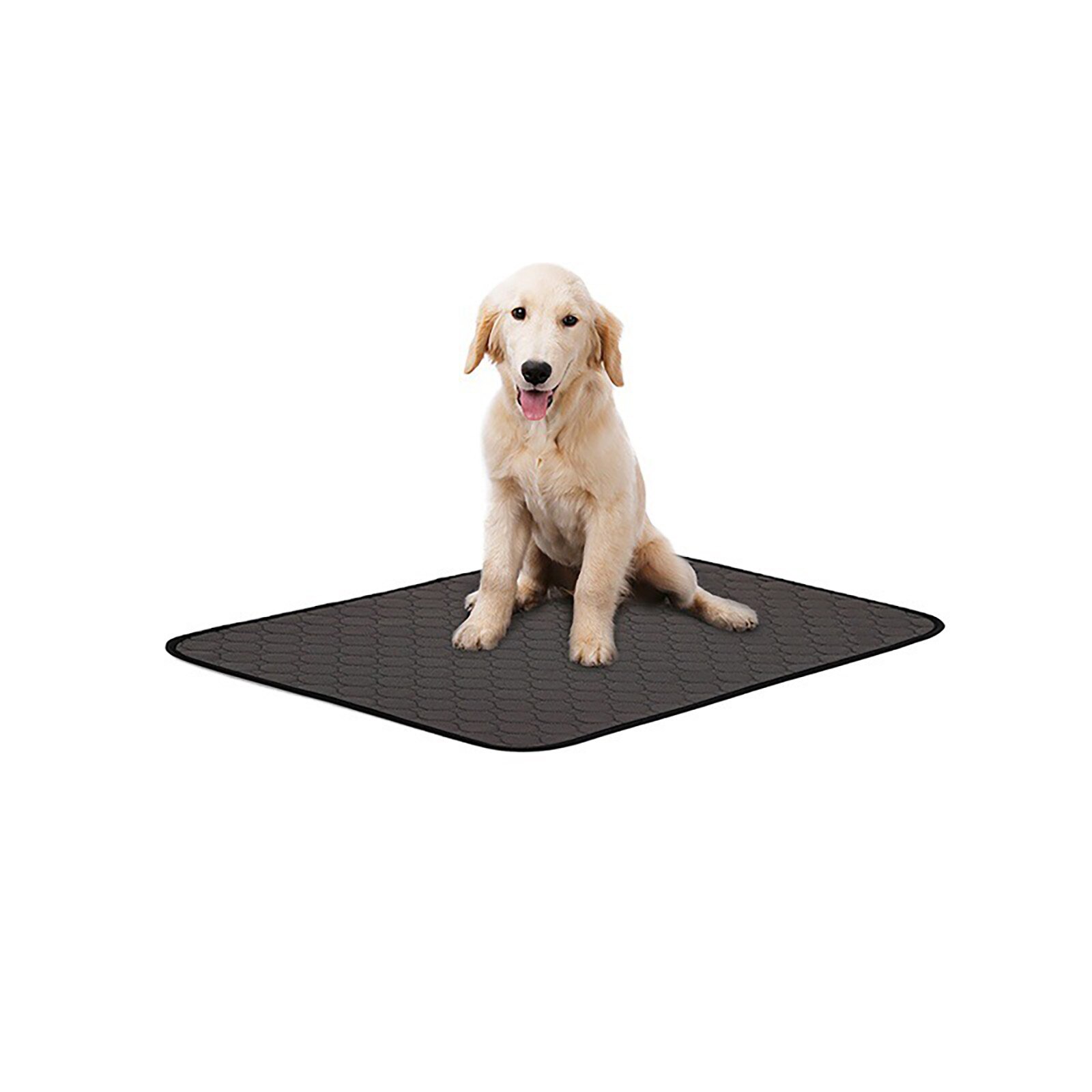 Dog Pet Diaper Reusable Dog Pad Anti-slip Absorbent Mat Maching Washable Training Dog Pee Pads Waterproof Diaper Changing Mat