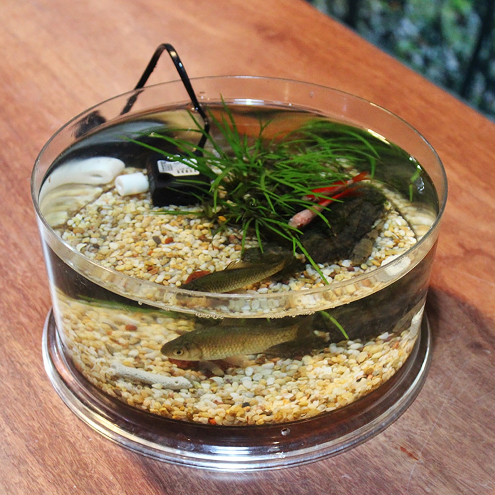 Desktop Small Fish Tank Goldfish Tank Turtle Tank Reptile Breeding Box Plastic Cylinder Ecological Landscaping Cylinder