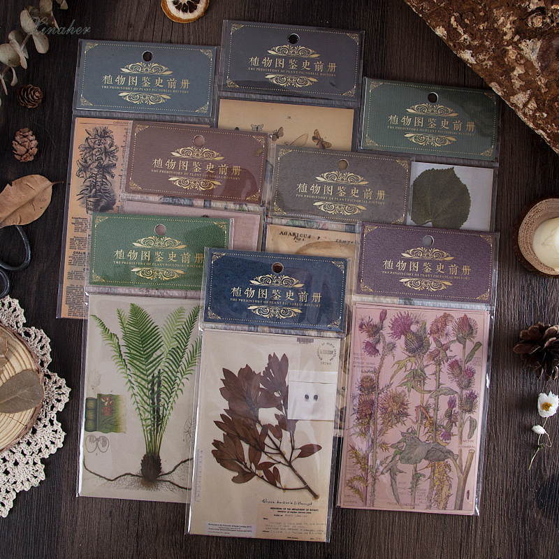 Papel de fundo de borboleta, papel de lixo de papel de diário, scrapbook de plantas, decorativo, vintage, papel de fundo de artesanato faça você mesmo com 10 peças