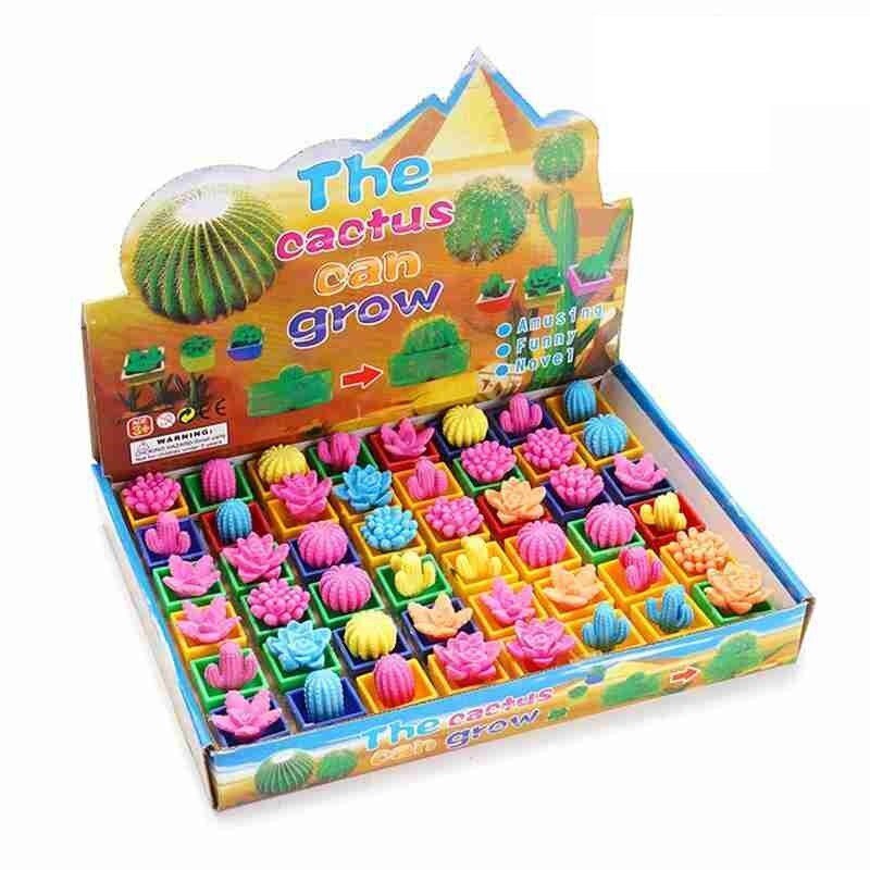 5Pcs In Water Groeiende Bloem Cactuse Bonsai Uitbreiding Plant Speelgoed Speelgoed Voor Kinderen De Cactus Kan Groeien Speelgoed Educatief speelgoed