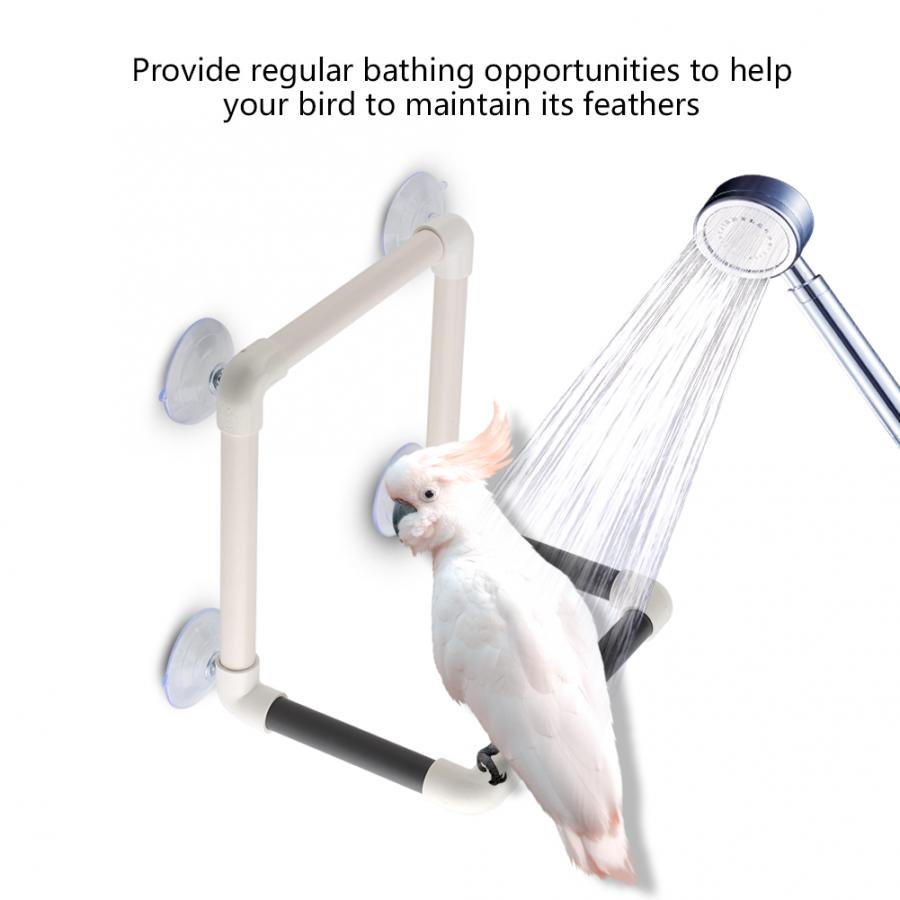 Perchas de ducha portátiles para loro mascota, juguetes con ventosas, ventana, ducha, pared de baño, juguete de plástico de pie