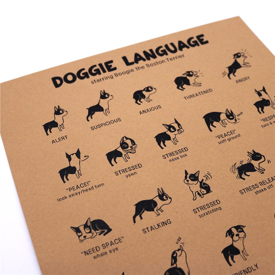 Hund doggle udtryk vintage kraftpapir plakat retro bar cafe dyrehandel dekoration hjem maleri 45.5 x 31.5cm