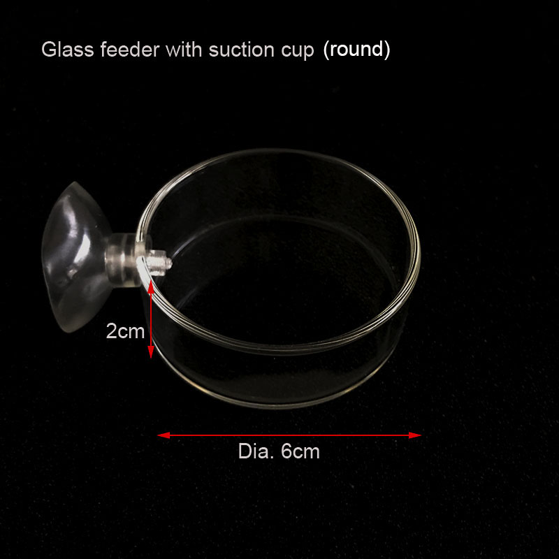 Transparent Aquarium Fish Tank Shrimp Food Feeding Circle Glass Feeder Floating Bottom Feeder Fish Shrimp Aquarium Accessories: Blue