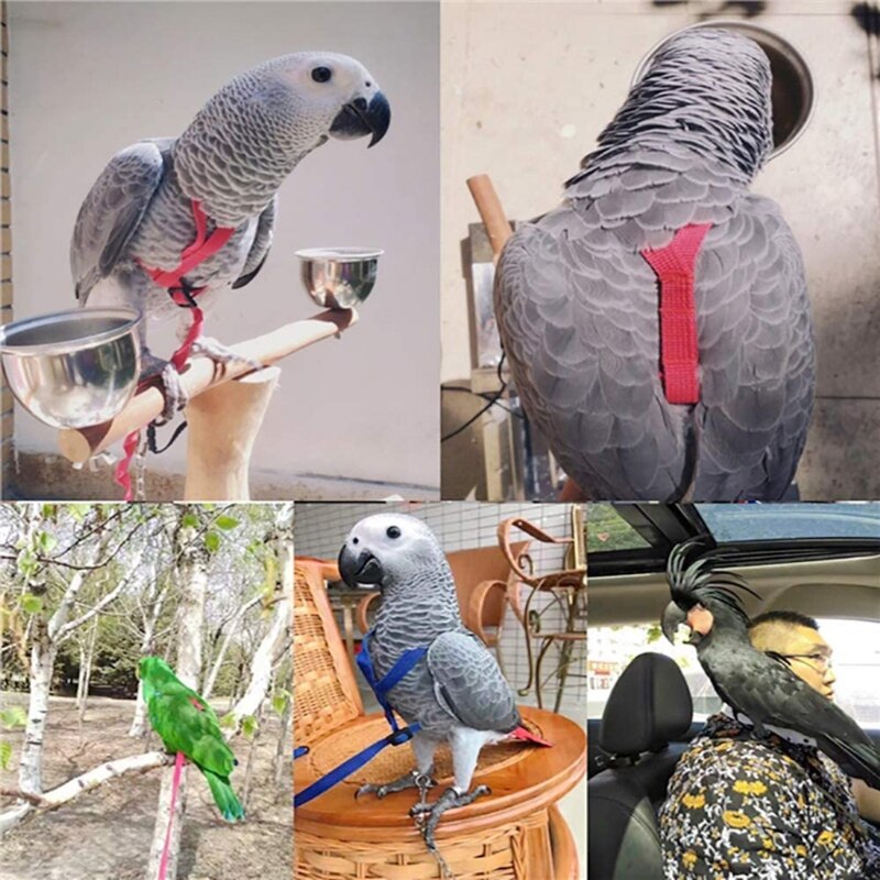Correa de arnés para pájaros y loros, correas de tracción voladoras para exteriores, banda ajustable antimordedura, cuerda de entrenamiento
