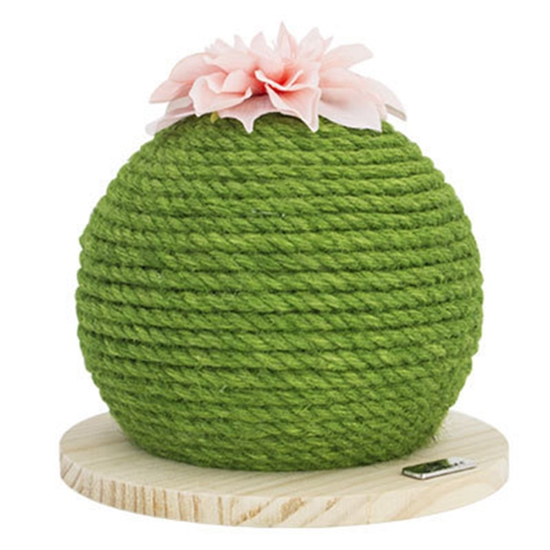 Kat kradsebræt pricky pear kattelegetøj til killing kaktus kat produkt kradsepude sisal kat kradse spil dekoration