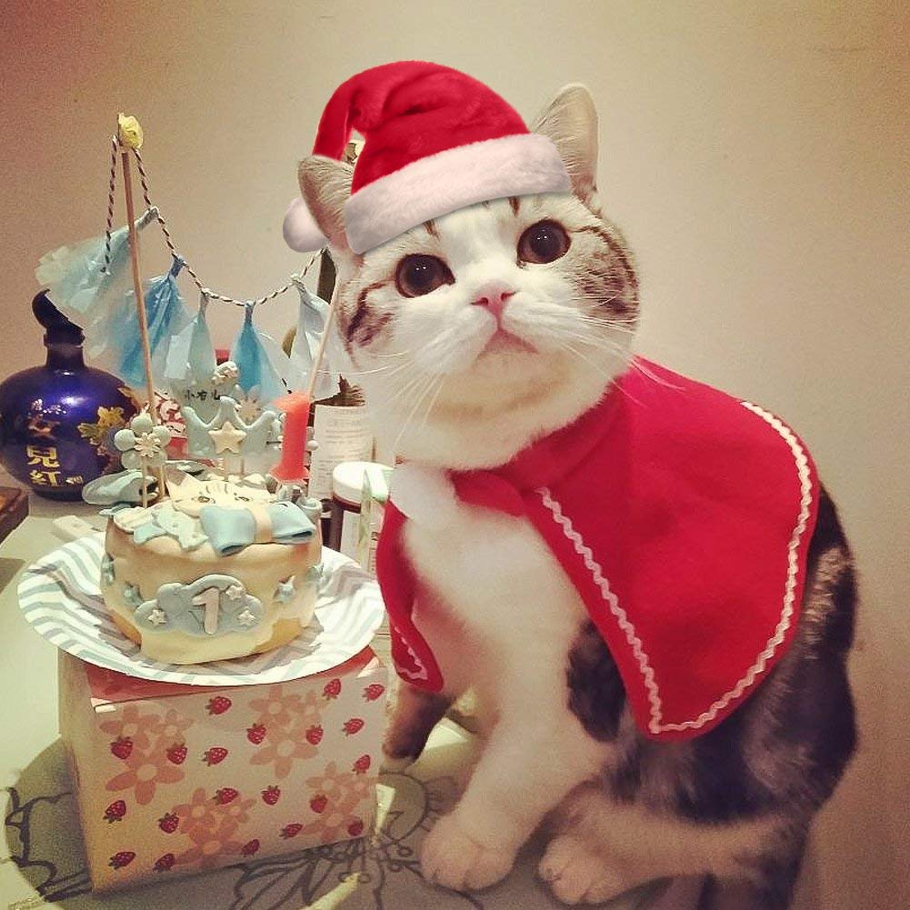 Gorros para perros y gatos, gorro para mascota y Papá Noel, bufanda y Collar con lazo, disfraz de Navidad para cachorro, gatito, gatos pequeños, perros, accesorios para mascotas