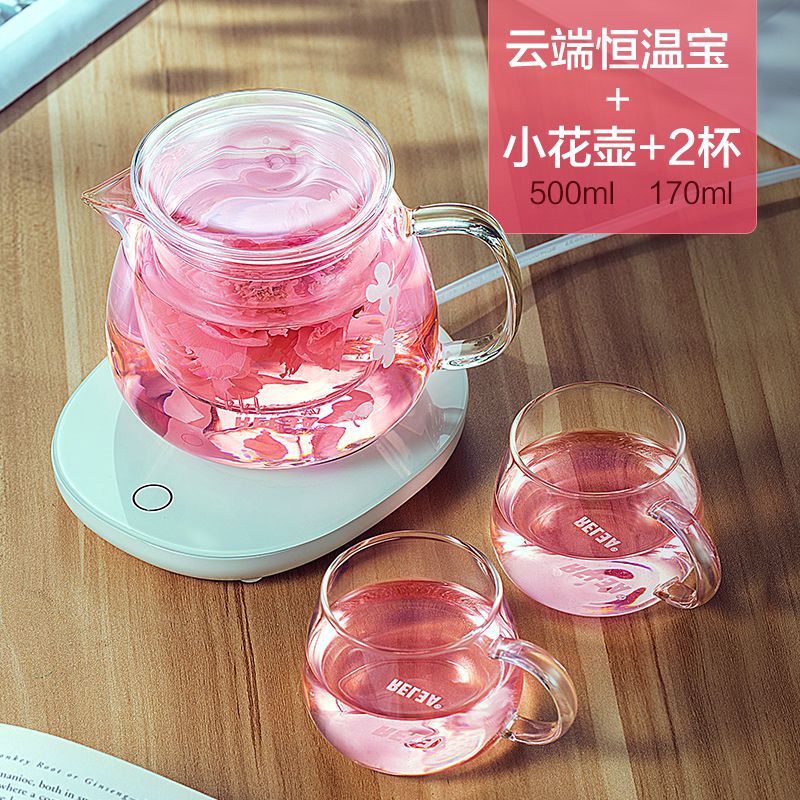 Handcraft-tetera eléctrica de cristal resistente al calor, Filtro de vidrio, calentador de temperatura constante, tetera eléctrica, combo de tazas: 500ml pot cup stove