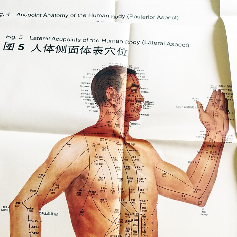 6Pcs/set Bilingual Acupoint Charts & Instructions of Anatomical Charts of Internationally Standardized Acupoints Book