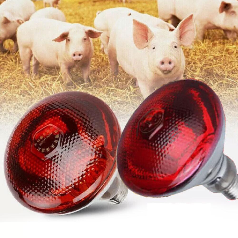 Rode Warmte Gloeilamp Warmte Behoud Lamp Fokken Verwarming Lamp Infrarood Waterdichte Verdikking Baklamp Voor Kuikens Biggen