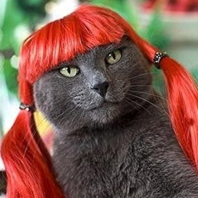 [mpk dyrebutik] rød pet paryk, sjov og sød kat paryk, hundeparyk, kunstigt orange hår, rødt hår til kæledyr