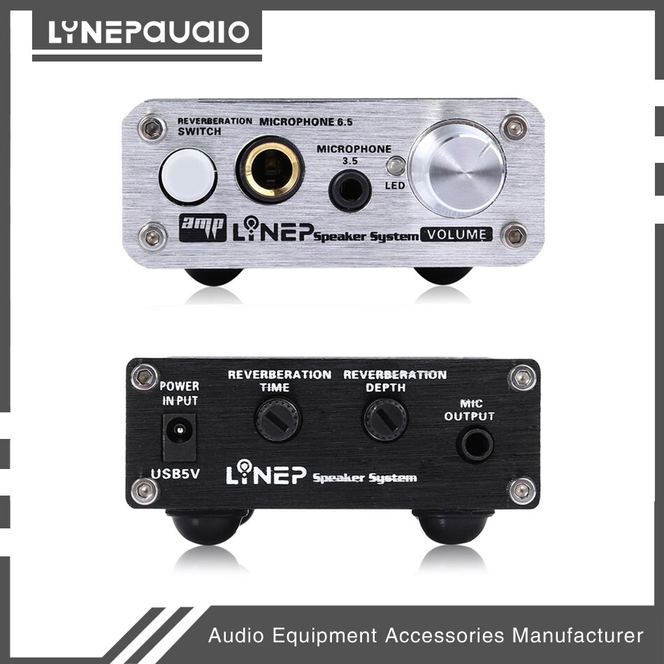 Microphone Preamp 2-Way MIC Pre-Amplifier Reverberation