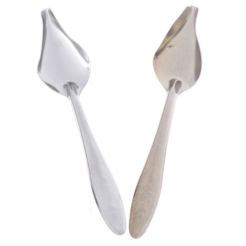 2 unids/set loro cuchara de alimentación de agua de acero inoxidable en polvo de leche en polvo de cucharas pájaro suministros