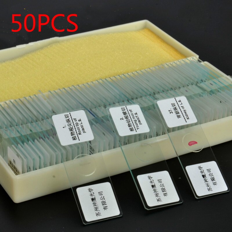 Biology 10/25/50/100/200 Prepared Glass Microscope Specimen Slides School and Laboratory English Label Teaching Samples: 50pcs