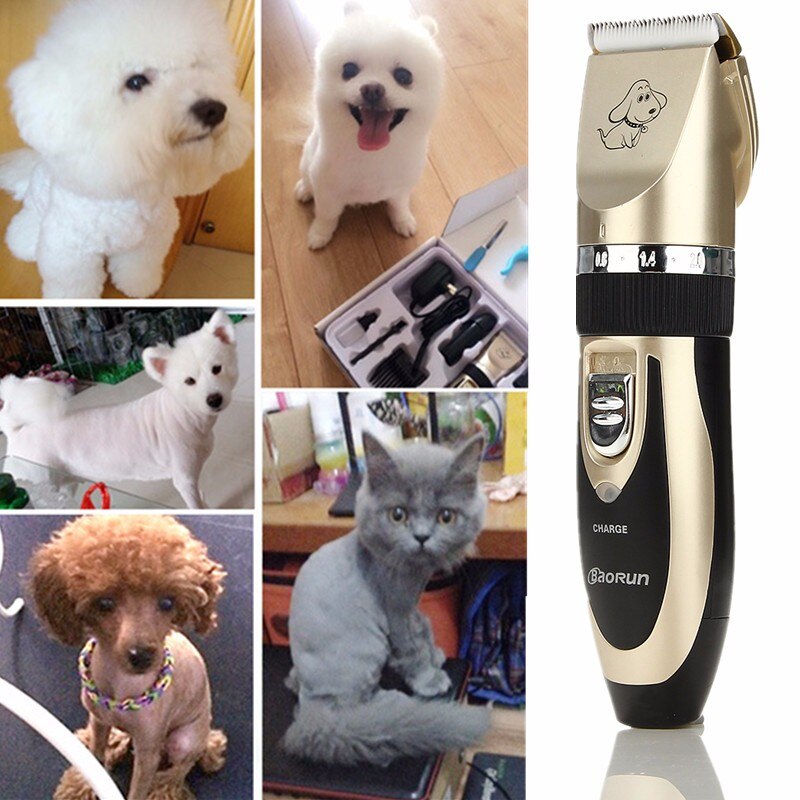 Tondeuse pour Chien Professionnelle Tondeuse Chien Poil Long Epais Electrique Sans Fil Kit