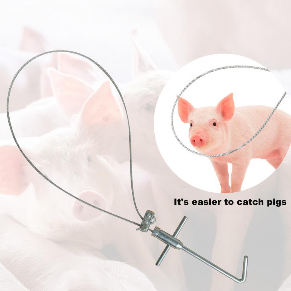 Pig Catcher Adjustable Labor-saving Corrosion Resistant Stainless Snare Pig Catcher for Farm Pig Catcher domestic animal Catcher