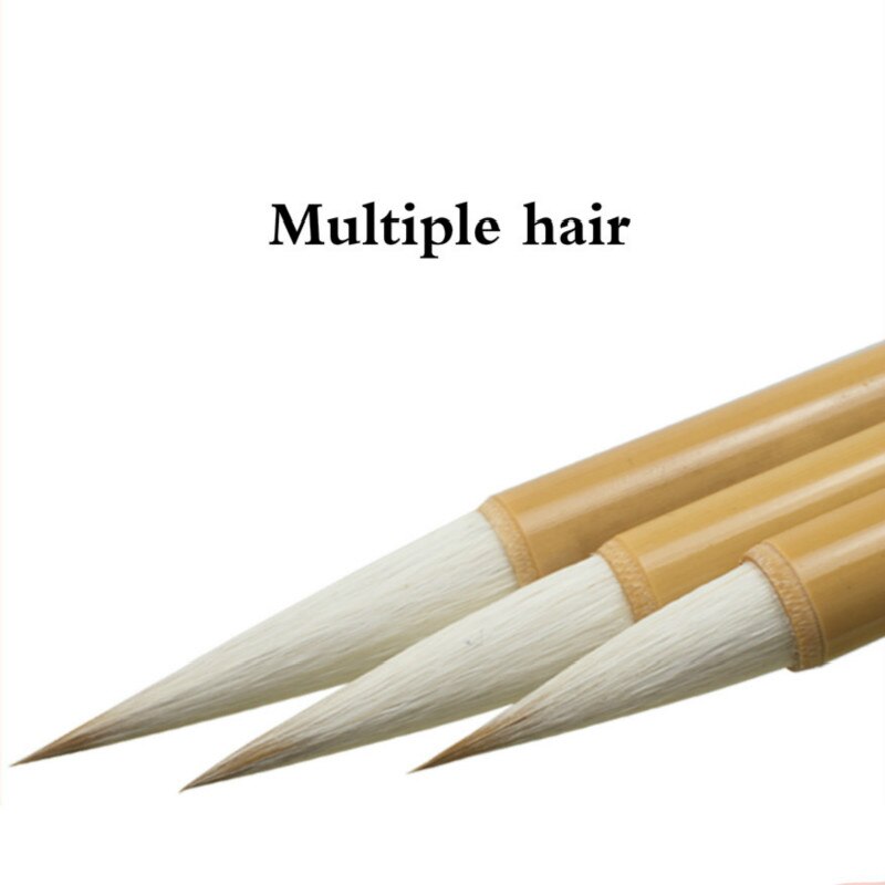 Chinese Calligraphy Pen Mulitple Hair Brush Pen with Box 3pcs/set Beginner Chinese Painting Calligraphy Brushes Tinta China