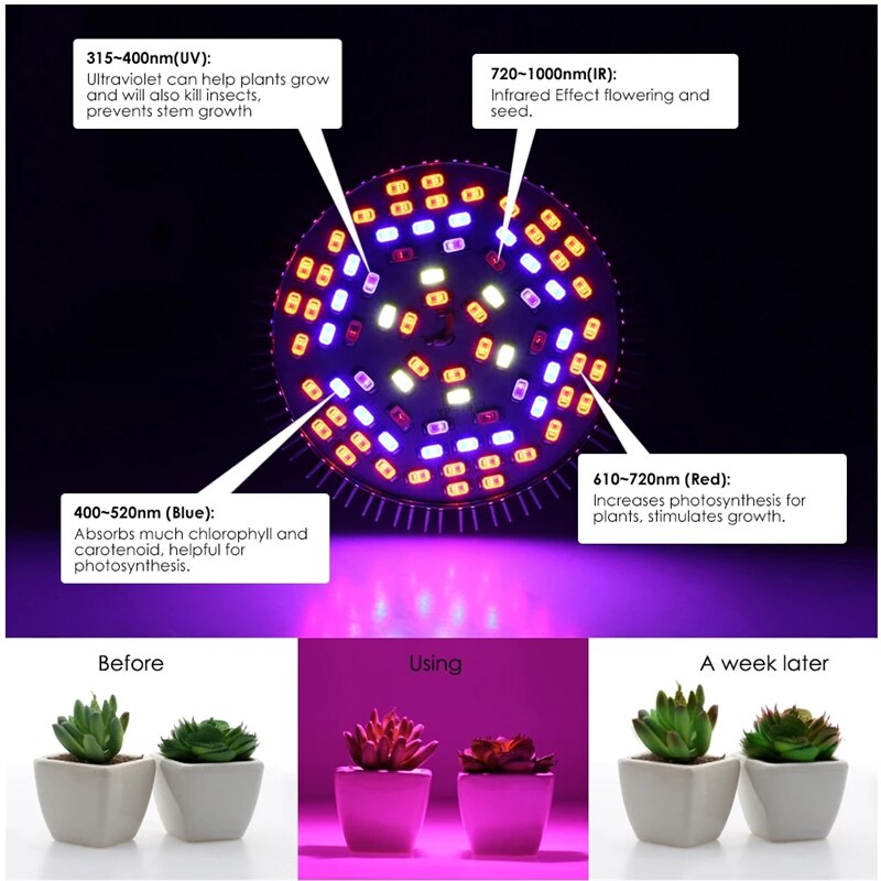 Led Grow Light Volledige Spectrum 10W 30W 50W 80W E27 A85-265V Led Groeiende Lamp Voor Indoor hydrocultuur Bloemen Planten Led Groei Lamp