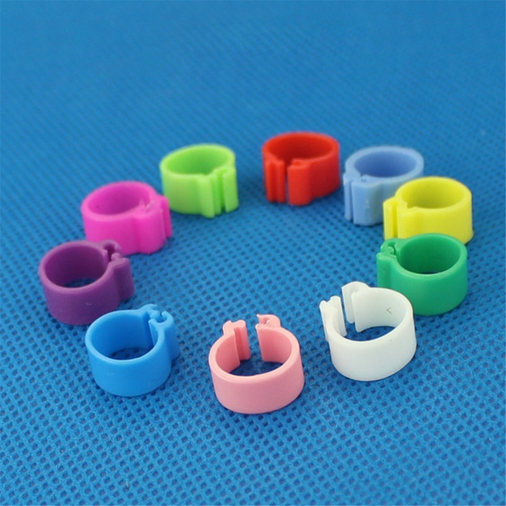 100 Pcs Duiven Ringen 8Mm Bajonet Identificatie Ring Opening Duif Ring Kleur Duif Voetring Duif Levert Vogel Apparaten
