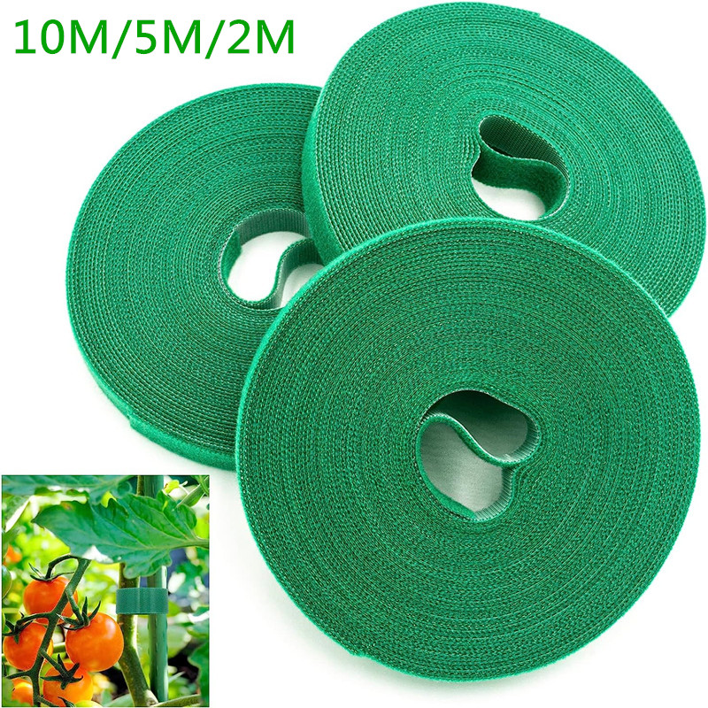 10M/5M/2M Grün Garten Schnur Anlage Krawatten Nylon Anlage Verband Garten Haken Schleife Bambus riet wickeln Unterstützung Garten Zubehör