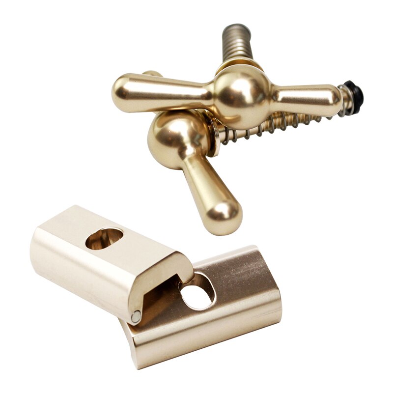 TWTOPSE Cycling Bike Magnetic Hinge Clamp Plate For Brompton Folding Bike Bicycle C Clamp Plate Lightweight 31.8g Aluminum Alloy: Champagne Set