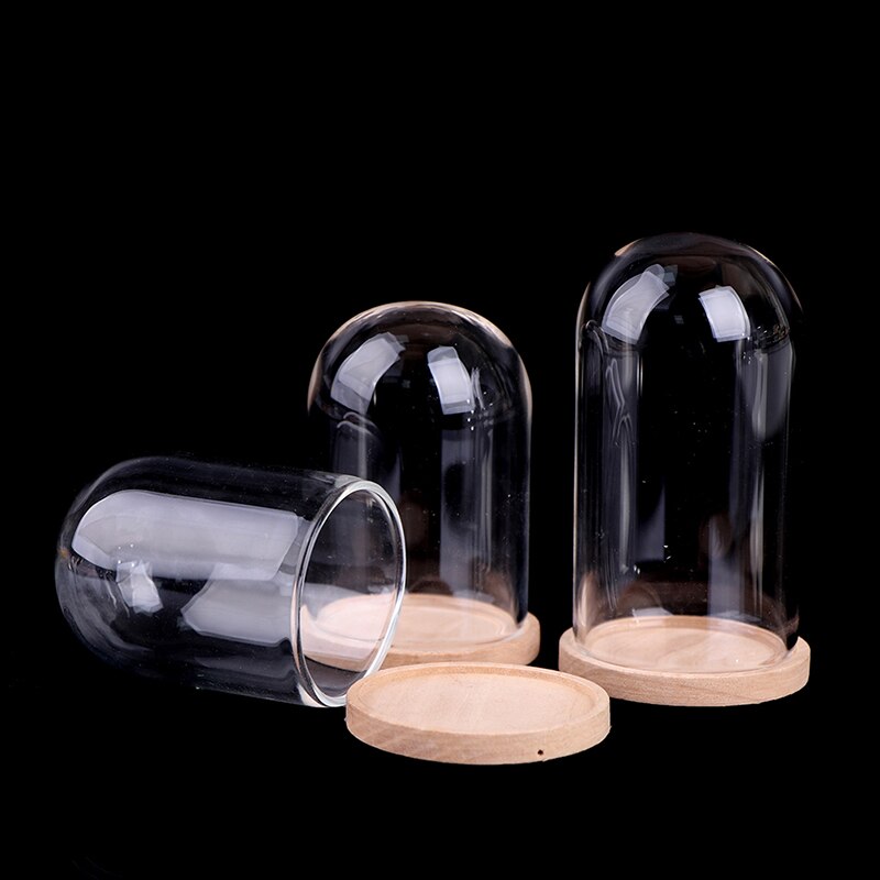 Vases de décoration en verre, présentoir de fleurs, Cloche, dôme, préservation immortelle + Base en bois, couvercle en verre de fleur éternelle