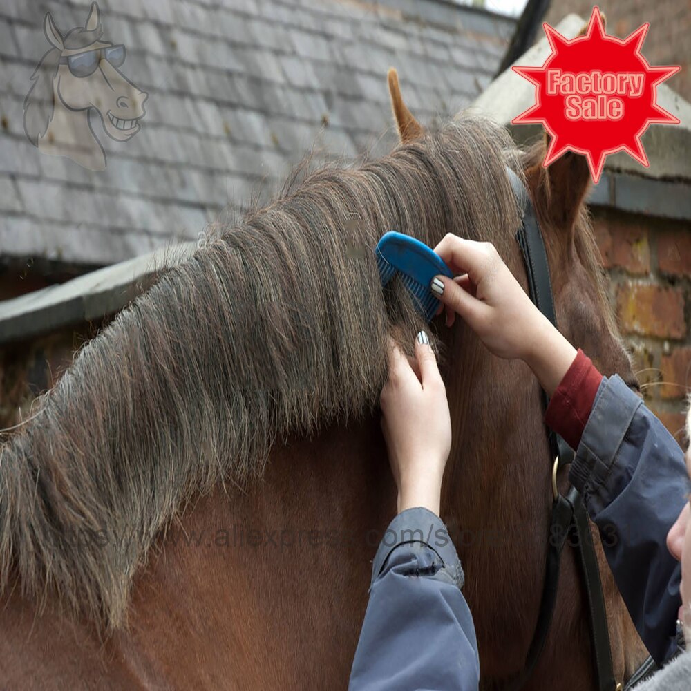 38 3006 głowa konia plastikowe curry grzebień PP maeterial dla konia zaplatanie włosów 14*4.5cm ekonomiczny grzebień robić czyszczenia koni fabryka dir