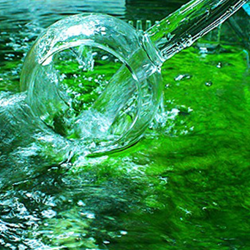 Glass Spin Outflow Lily Pipe for Aquarium Planted Tank Slow Water Outflow Speed