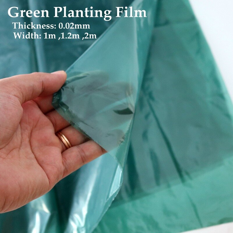 1m bredde :1m 1.2m 2m grøn film vegetabilsk ingefær plantning barkflis film landbrug drivhus film unge planter beskyttelsesark