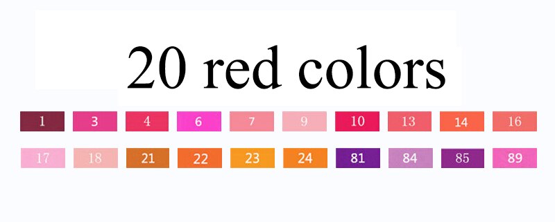 TOUCHNEW 80 Colors Soft Brush Markers Pen Dual tips Alcohol Based Markers set for Manga Drawing Animation Art Supplies: 20 red colors