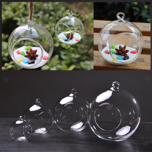 3 Size Clear Ball Bloem Opknoping Vaas Planter Terrarium Container Glas Home Decal Transparant Bloempotten Plantenbakken Mand