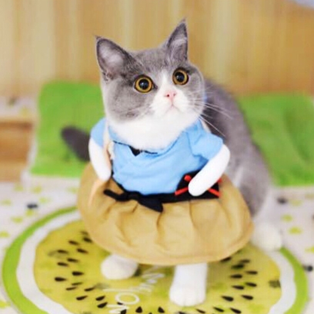 cute funny Cosplay clothing for Pet Funny Cat Costumes Clothing Dress Clothes for party Cosplay different career#0212y10