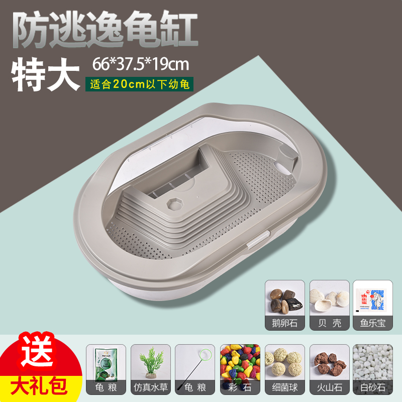 Cylindre d&#39;alimentation pour tortue, Pot domestique, petit et grand réservoir de poisson, boîte d&#39;alimentation pour tortue: Gray-extra large