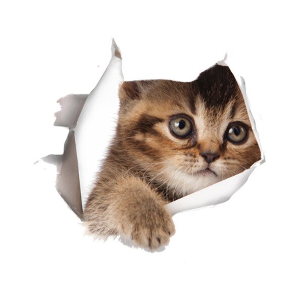 3D Creatieve Kat Hond Gebroken Muur Cartoon Sticker Zelfklevende Waterdicht Decoratie Wc Notebook Sticker: 06