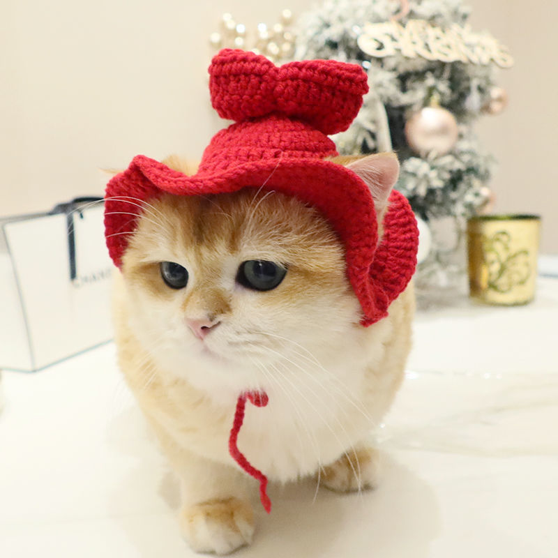 Chapeau de chat élastique mignon tricoté, couvre-tête et amusant, accessoires de séance Photo de fête, Costume de Cosplay pour chaton, accessoires pour chat