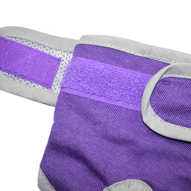 Haustier Weibliche Hund Physiologischen Hosen Sanitär Windel Waschbar Menstruation Unterwäsche Slip Für Kleine Mittel Mädchen Hunde kurze Hose