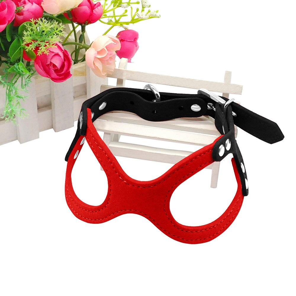 Pet Dog Harness for Puppy Adjustable Pet Harness Vest for Small Medium Dogs Cats Durable Pet Supplies for Chihuahua Yorkie Teddy: Red-Black / M