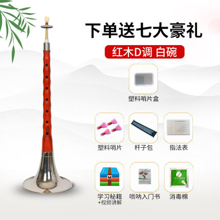 Chinese suona traditional musical instrument surna horn trumpet for beginner 1pc: D key white