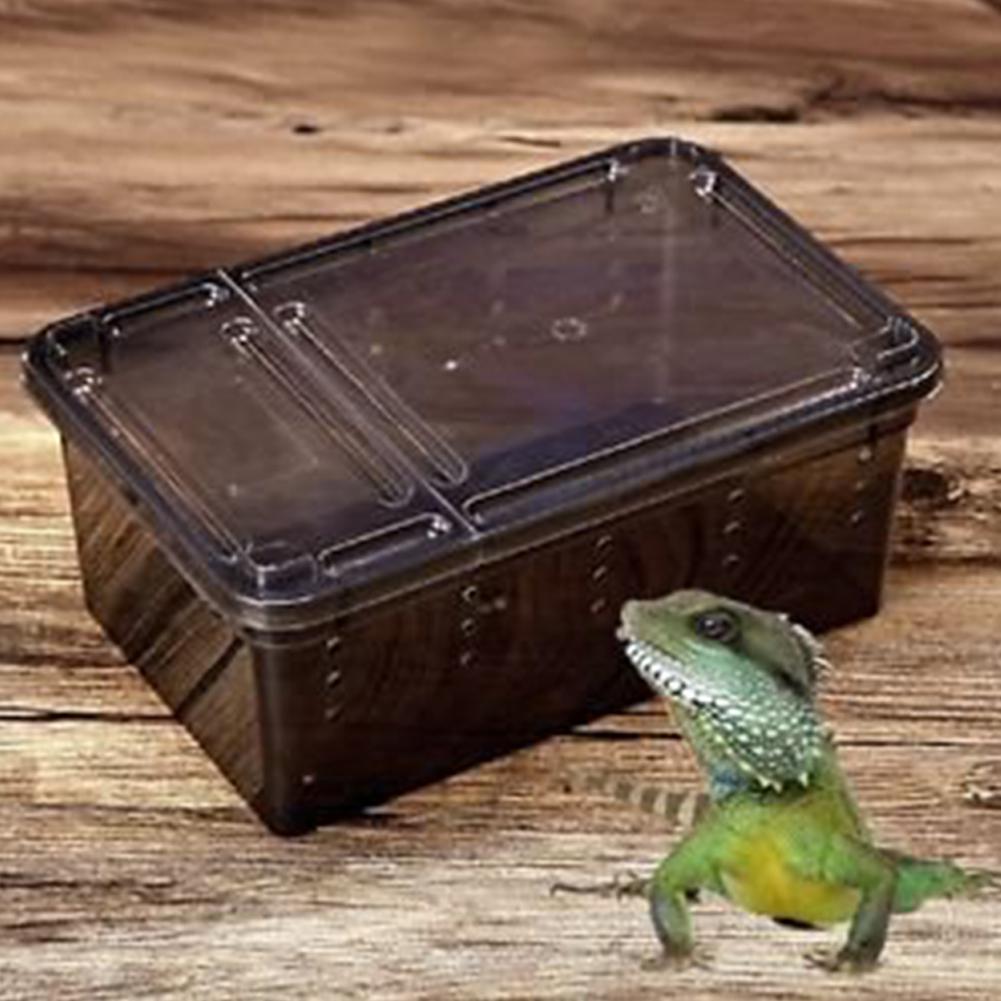 Reptilian Feeding Box Escape-proof Transparent Spider Horn Frog Turtle Snake Breeding Container