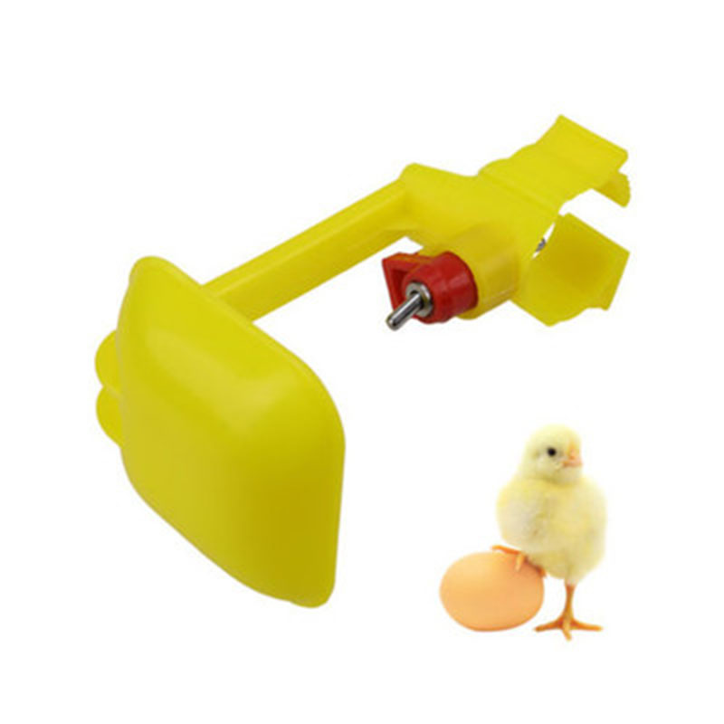 10 20PCS Poultry Chicken Water Drinking Tool Hen Quail Bowl For Farm Animal Automatic Drinker Feeder Bird Cups Bottles