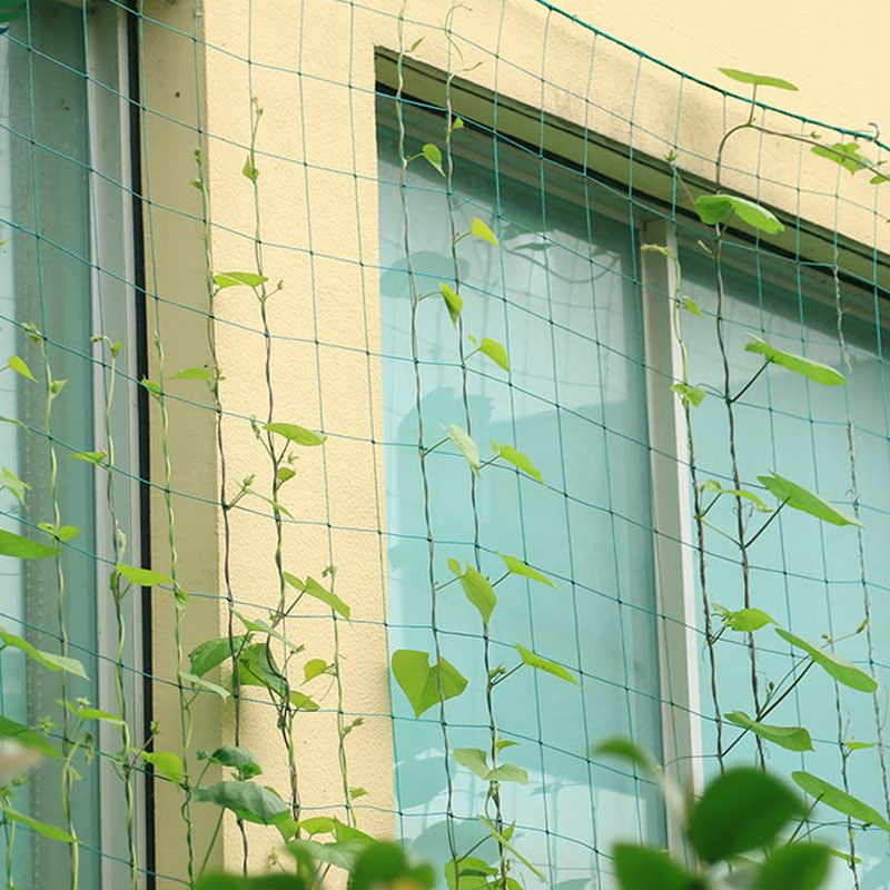 Klimnet voor planten, gaas, polyesternet, bloemen, komkommerplanten, landingsnet, frame, ondersteuningsnet, wijnranken, trellisnet, tuinbenodigdheden