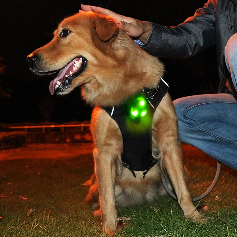 1 Uds mascotas colgante Led intermitente de seguridad de luz Led parpadeantes Collar COLGANTE para mascotas Collar mascota perro . Exclusivo. 20D1