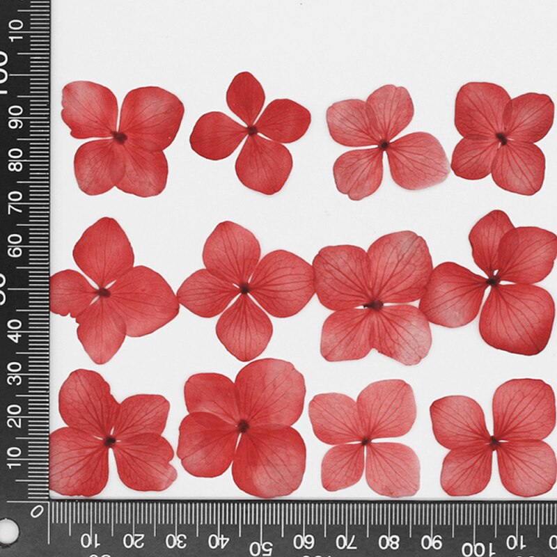 60 stuks/pak hortensia epoxy gedroogde bloemen reliëf plant specimen handgemaakte doe-het-zelf aromatherapie materiaal accessoires: 3