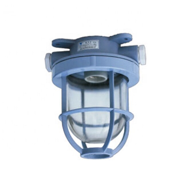 IP55 60W 220V Waterdichte Marine Plastic Gloeilamp Hanglamp CCD1-2A