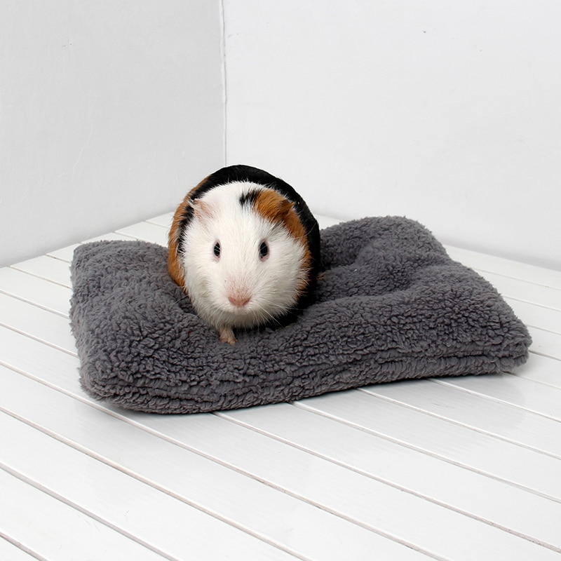Klein Dier Egel Hamster Bed Winter Warm Thuis Eekhoorn Konijn Chinchilla Mat