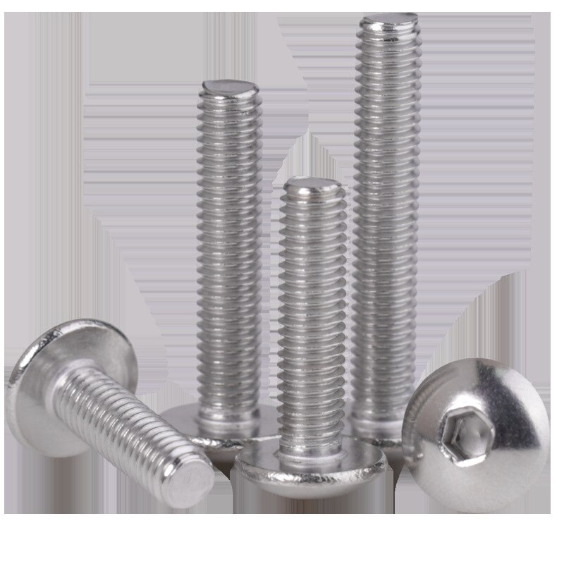 304 roestvrij staal grote platte kop inbus schroef half ronde kop schroef paraplu hoofd M6 M8 10PCS