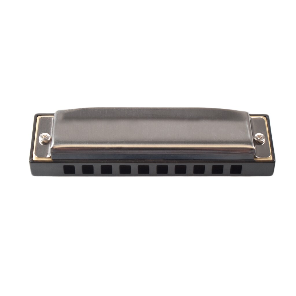 LOMMI Folkmaster Blues Harmonica Standard C Key 10-Hole 20 Tones Diatonic Blues Gaita Harmonica For Beginner Colorful Harmonica: Pure Stainless