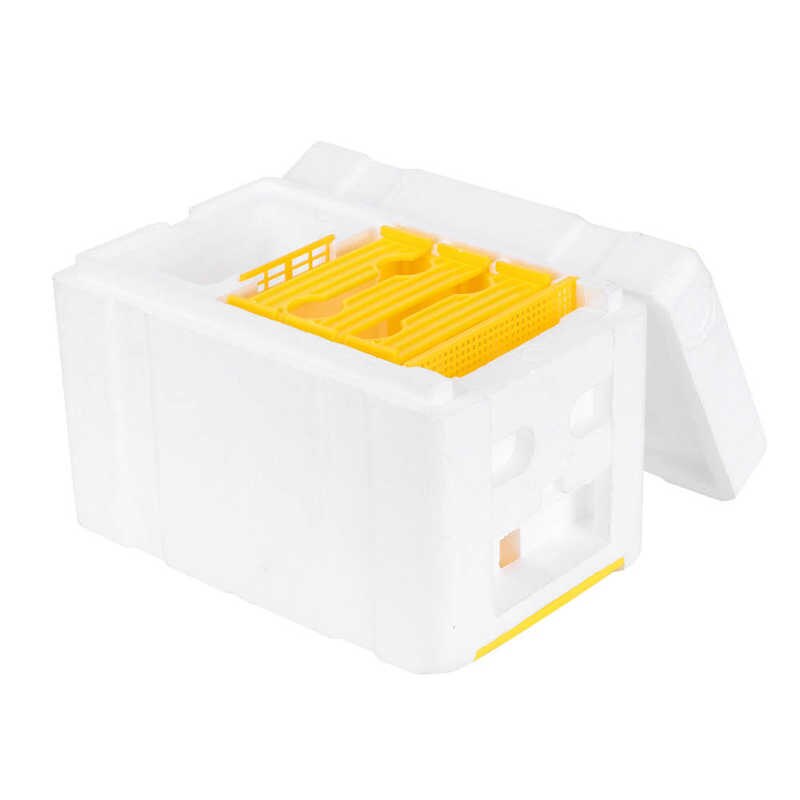 Mini ruche transparente pour abeilles, boîte d&#39;accouplement pour abeilles, pollinisation, mousse haute densité, équipement pour apiculture, marqueur