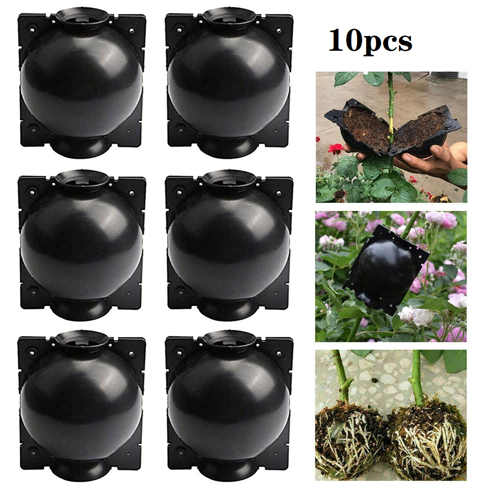 10pcs 5/8CM Plant Rooting Equipmen High Pressure Propagation Ball Graft Breeding Case Plant Root Growing Planting Nursery Ball